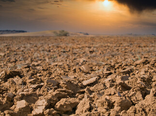 FARMLAND WITH SUNSET