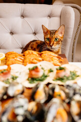 Variety of seafood on wooden cutting board on table in home interior. Oriental cat sits on armchair at table.