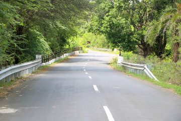 Asphalt road through the forest, with bike line along