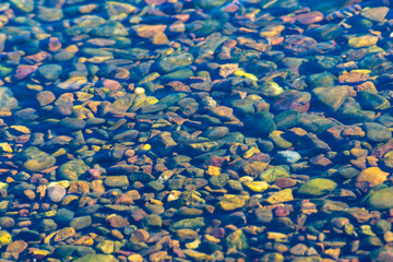 Shallow river and stones underwater.