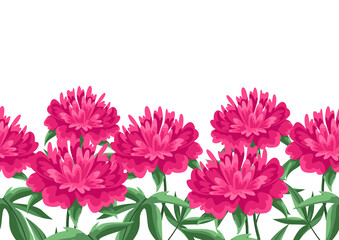 Background with peonies flowers. Beautiful decorative spring plants.