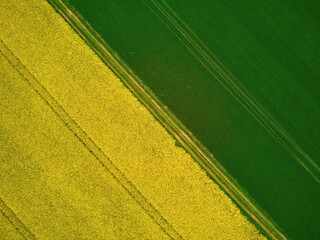 Aerial drone view of yellow rapeseed fields in Ile-de-France, France