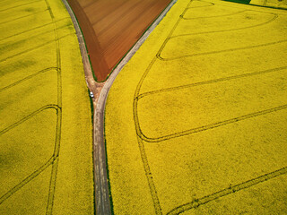 Aerial drone view of yellow rapeseed fields in Ile-de-France, France