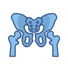 hip bone
