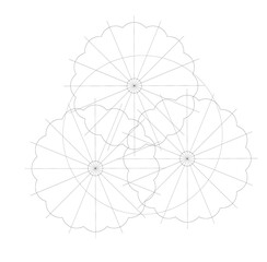 Obraz premium Architectural graphic or symbol of the trees and planter box in landscape design from the top view. It is usually used in plan drawing or architectural layouts. 2D CAD image in black and white.