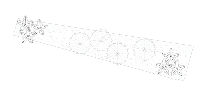 
Architectural Graphic Or Symbol Of The Trees And Planter Box In Landscape Design From The Top View. It Is Usually Used In Plan Drawing Or Architectural Layouts. 2D CAD Image In Black And White.