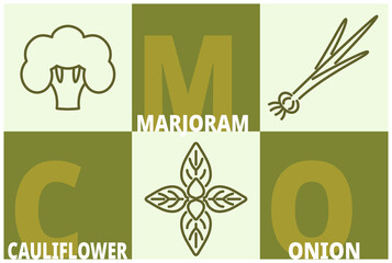 Herbs and spices line icon set. Marjoram, cauliflower, onion signs with name text. Editable stroke symbols of food. 3 linear style olive colored design elements. Vector isolated - 485363544