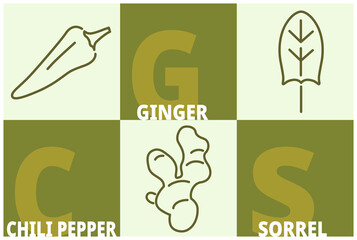 Herbs and spices line icon set. Chili pepper, ginger, sorrel signs with name text. Editable stroke symbols of food. 3 linear style olive colored design elements. Vector isolated - 485363584