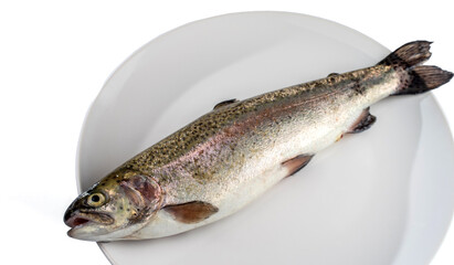 Fresh river trout on a white plate. Isolated on a white background. Selective focus..