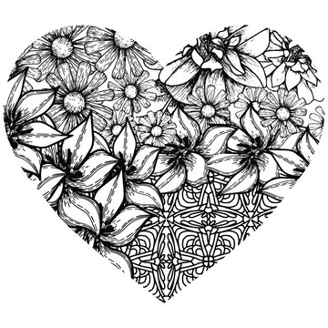 recommend clip art: heart drawn on a white background with flowers and ornaments for coloring, coloring vector