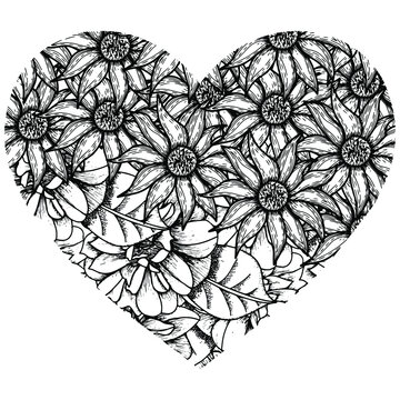 recommend clip art: hand drawn flowers and chamomiles forming a heart for coloring on a white background, coloring botanical  vector