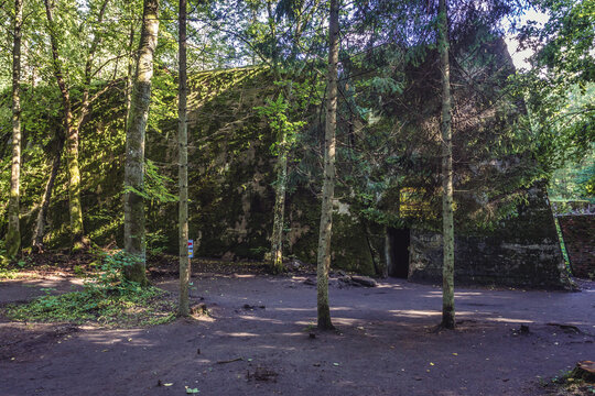 Martin Bormann bunker in Wilczy Szaniec - Wolfs Lair, first Eastern Front military headquarters of Hitler in Gierloz, Poland