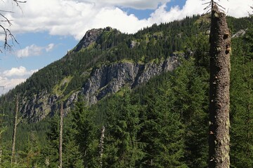 tatry