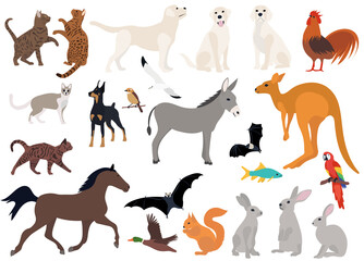 wild and domestic animals set flat design