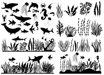sea animals, fish, algae set silhouette ,on white background, vector