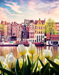 Gordijnen Beautiful landscape with tulips and houses in Amsterdam, Holland (greeting card - concept) © anko_ter