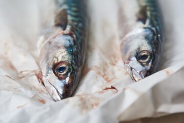 Mediterranean blue fish, raw anchovies in foil.