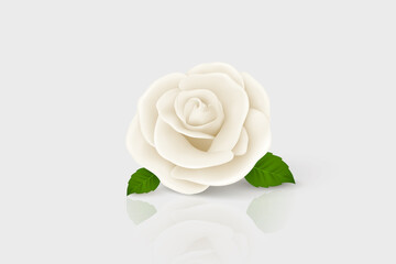 Vector 3d Realistic White Flower Rose Closeup Isolated on White. Rose Bud Design Template. Background with Decorative Rose. Design Template of Rose Flower, Clipart