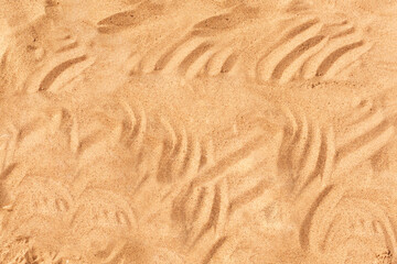 Fototapeta na wymiar Natural close up beach sand background. Light beige, white sandy beach texture. Summer vacation, travel at sea relaxation concept. Copy space, place for text