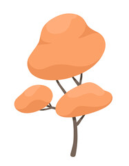 Autumn deciduous tree with an orange crown. Vector illustration isolated on white background, cartoon style.