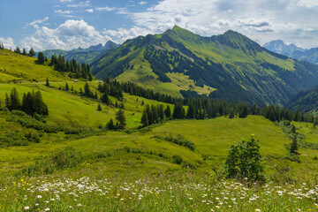 Obraz premium Typical alpine landscape in early summer near Damuls, Vorarlberg, Austria