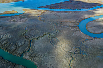Coastal Wetlands on Hilton Head Island South Carolina