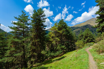 Obraz premium Beautiful landscape of the mountainous region of Georgia, Tusheti