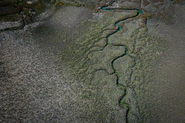 Coastal Wetlands on Hilton Head Island South Carolina