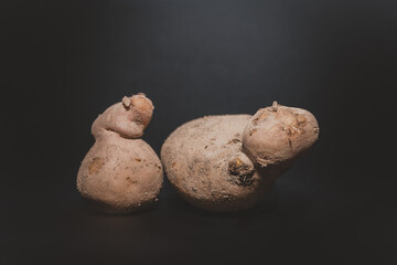 Ziemniak, mutacja dziwne kształty, naturalne jedzenie - obrazy, fototapety, plakaty