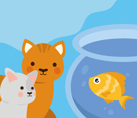 pets cats and fish