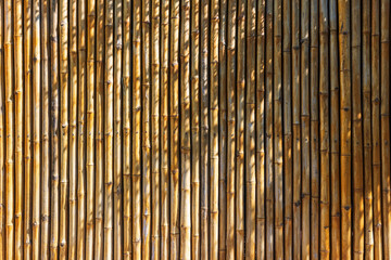 Yellow bamboo wall with natural light shade