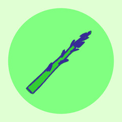 Vector asparagus icon. Pencil textures. Green sparrow grass illustration isolated. Vegan restaurant logo, vegetarian symbol. Homemade cooking sign. Vegetable drawing for label. Asparagus officinalis.