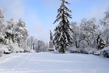 Winter landscape, street trees covered with snow, monument to Ukrainian poet Shevchenko in the park Dnipro city Dnepropetrovsk,Ukraine