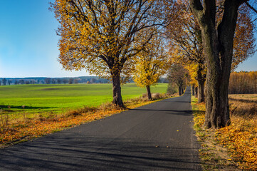 Obraz premium road sign in the evening red sky