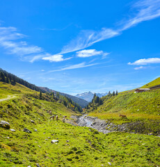 Schönes Bergpanorama mit grasenden Pferden,(Haflinger). Salzburger Land, oberhalb von Wald im Pinzgau,  Österreich.