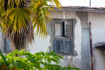 Fototapeta na wymiar Old window in the frame of palm and papaya tree, Stone Town, Zanzibar, Tanzania