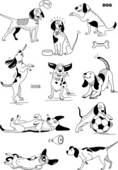 funny cute funny dogs with bones balls meat drawings