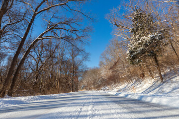 Snow covered trees at Lone Elk Park, Missouri 