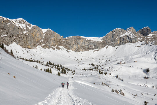 Schneeschuh Wandern (Eggberge, Uri, Schweiz)