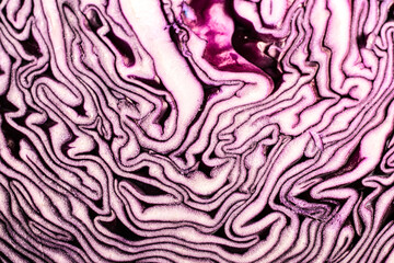 Schnitt von einem Rotkohl