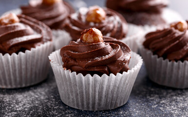Meringue, pavlova chocolate cupcakes with cream, nuts and powder sugar