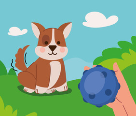 owner playing with dog