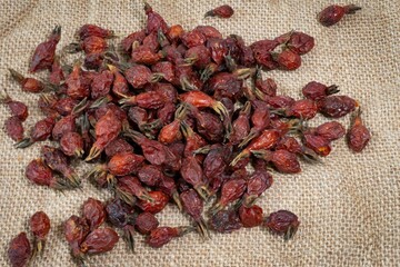 Dried rose hips on fabric. Medicinal plants for tea. Alternative medicine.