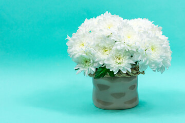 Bouquet of white chrysanthemums in a ceramic vase on a blue background. Postcard for mother's day, for March 8. Beautiful chrysanthemum flowers. Place for an inscription.