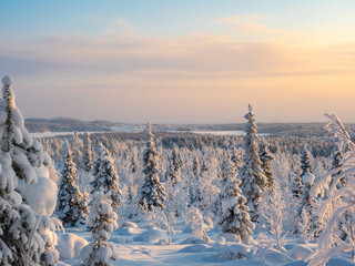 Snow covered forest and scenery at Konttainen peak, Kuusamo, Finland