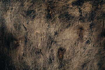 Brown wood texture. Abstract background, blank template.