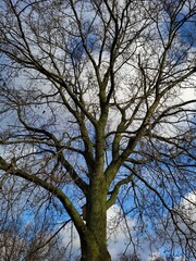 Shot from the lake in the municipality of Harderwijk, Netherlands. Wind turbines and boats in the background.