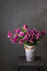Spring background. Purple tulips in a vase on a gray background. A bunch of beautiful flowers in a tin bucket.
