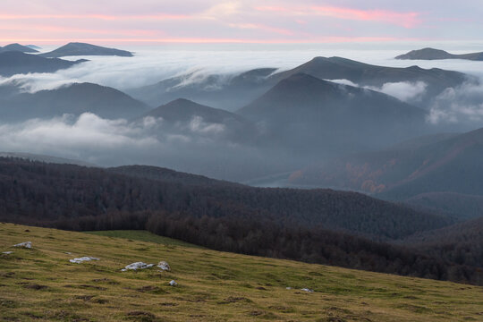 Fog enters the Irati Forest at sunset