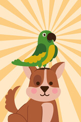 pets dog and parrot